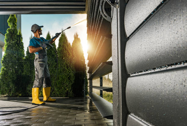 Best Gutter Cleaning  in Memphis, MI